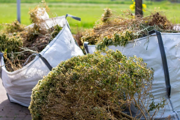 Basement Cleanout Services in Decatur, MS